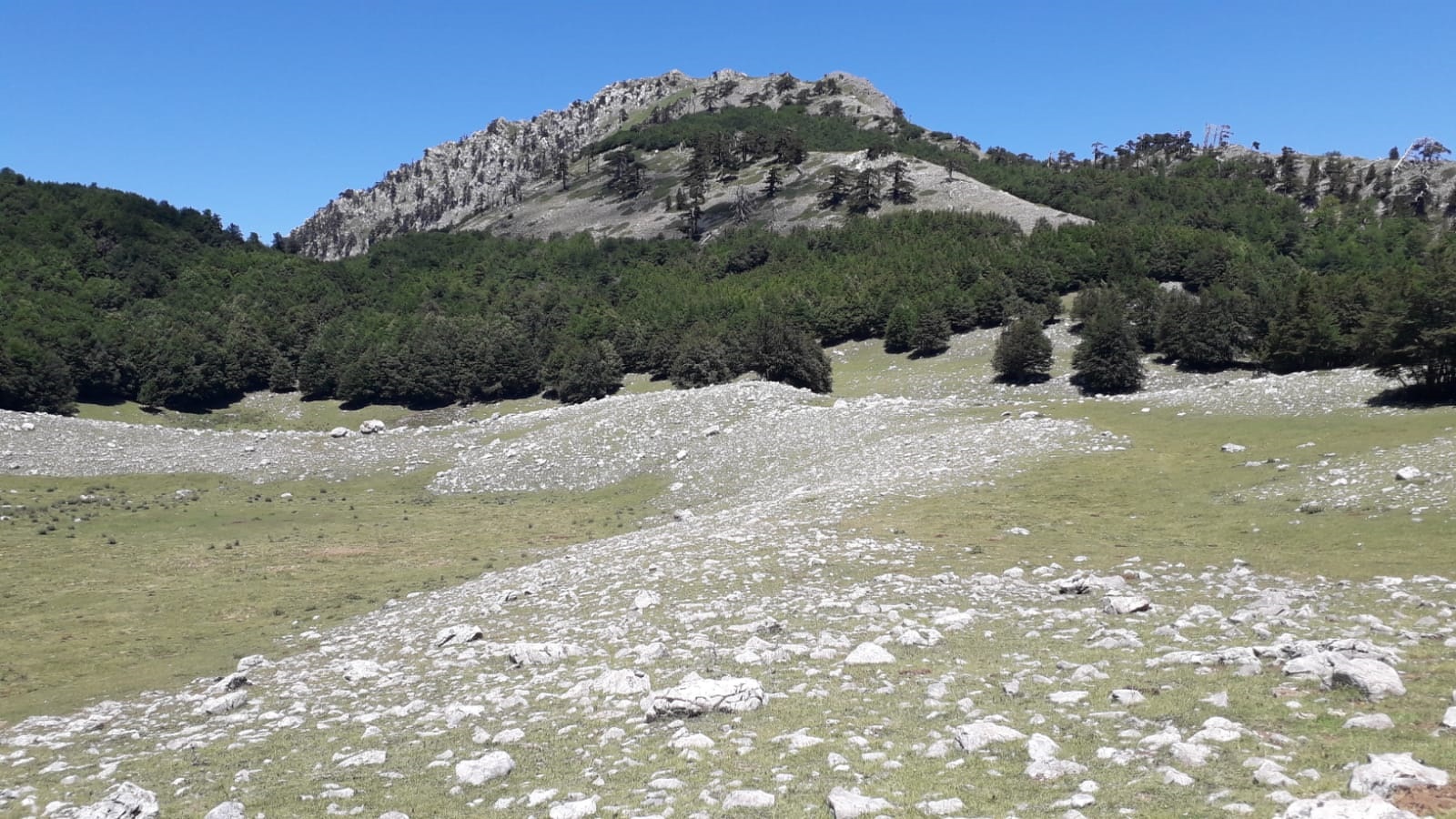 Parco nazionale del Pollino - panoramica